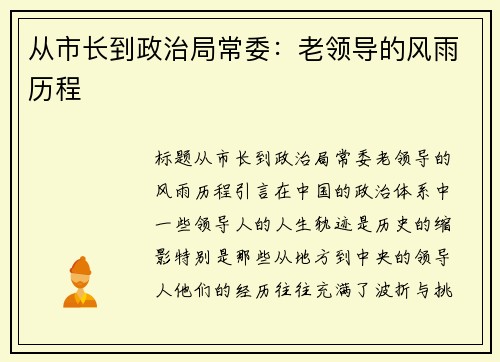 从市长到政治局常委：老领导的风雨历程