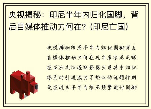 央视揭秘：印尼半年内归化国脚，背后自媒体推动力何在？(印尼亡国)